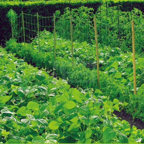 Uborka háló 1,7 m x 500 m