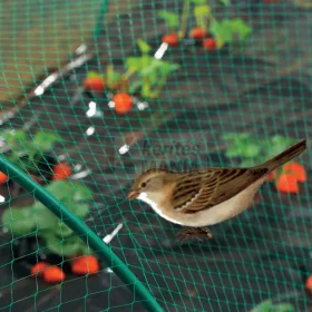 Madárháló 18 x 18 zöld 2x50 m