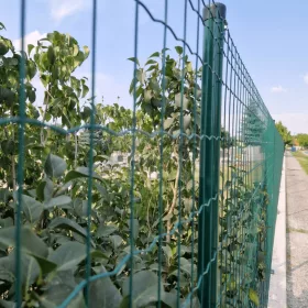   Eplax erős ponthegesztett zöld kerítésháló, 60 cm magas
