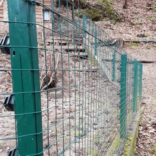 Esax erős ponthegesztett zöld drótháló  150 cm magas