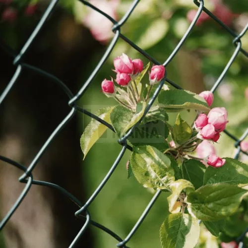 Műanyag bevonatú drótháló, kerítésdrót, zöld 200cm magas 25m