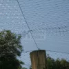 Volier - fácán háló 2x100 m,  rács 5x5 cm, uv. álló
