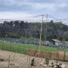 Volier - fácán háló 2x100 m,  rács 5x5 cm, uv. álló