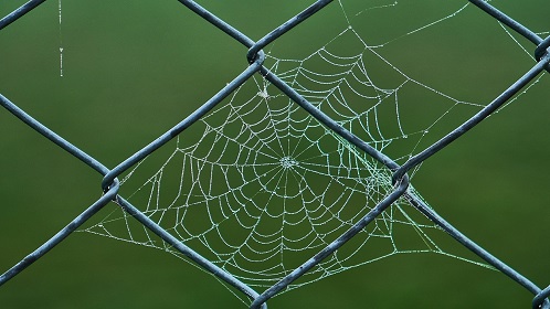 Különböző szemméretű, különböző vastagságú drótkerítések vásárlása - Kerítésmánia